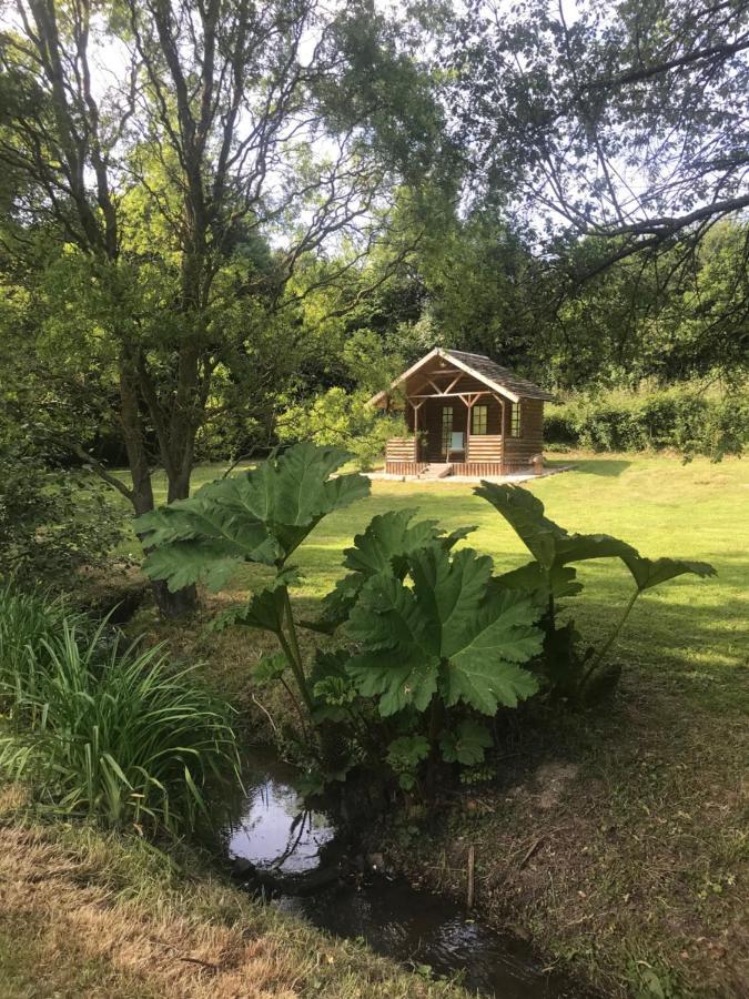 La Paix, Gite Bucolique En Normandie Condé-sur-Noireau Exterior foto