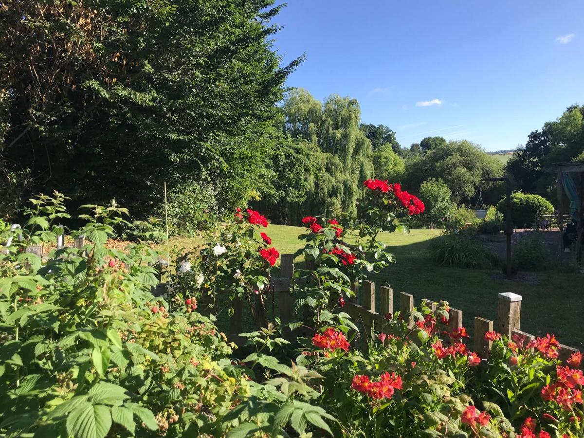 La Paix, Gite Bucolique En Normandie Condé-sur-Noireau Exterior foto
