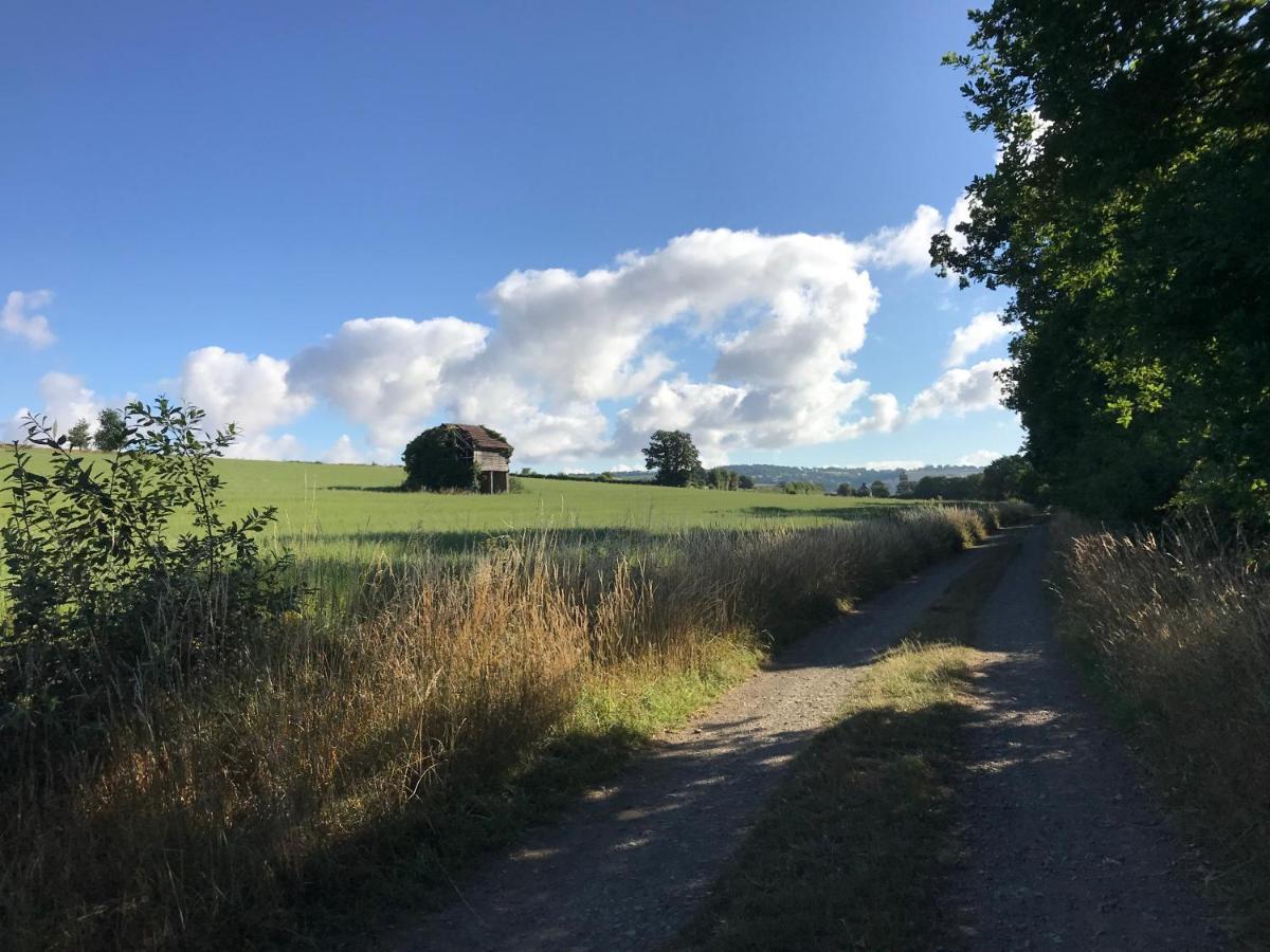 La Paix, Gite Bucolique En Normandie Condé-sur-Noireau Exterior foto