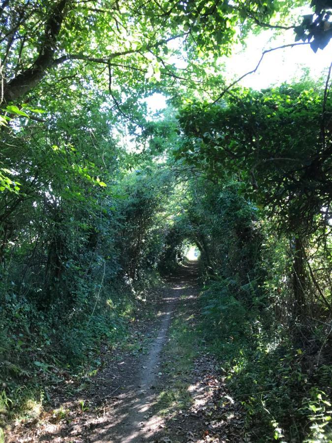La Paix, Gite Bucolique En Normandie Condé-sur-Noireau Exterior foto